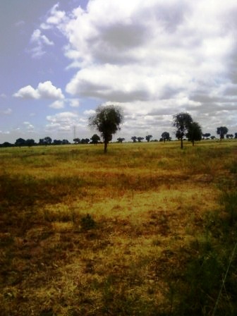 Ruta 146 Km 5 · La Capital — foto 17