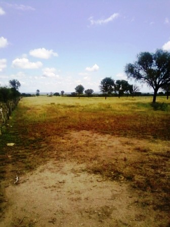 Ruta 146 Km 5 · La Capital — foto 18