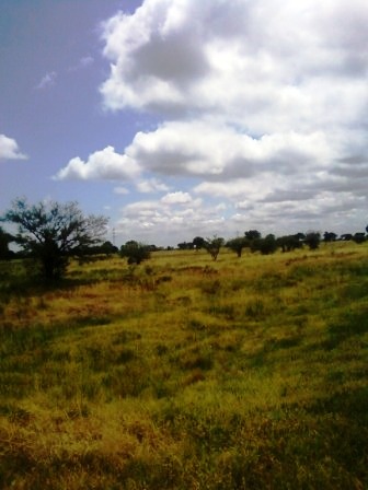 Ruta 146 Km 5 · La Capital — foto 19