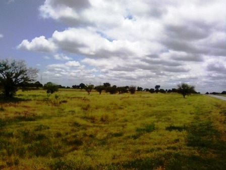 Ruta 146 Km 5 · La Capital — foto 20