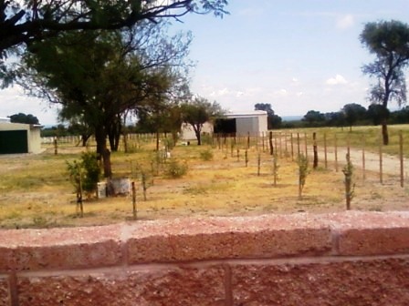 Ruta 146 Km 5 · La Capital — foto 3