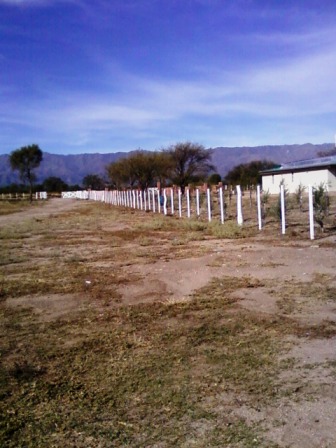 Ruta 146 Km 5 · La Capital — foto 21