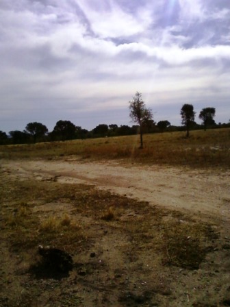 Ruta 146 Km 5 · La Capital — foto 22