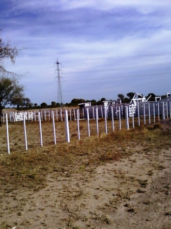 Ruta 146 Km 5 · La Capital — foto 23