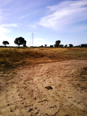 Ruta 146 Km 5 · La Capital — foto 27