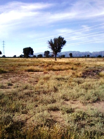 Ruta 146 Km 5 · La Capital — foto 30