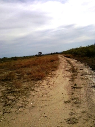 Ruta 146 Km 5 · La Capital — foto 32