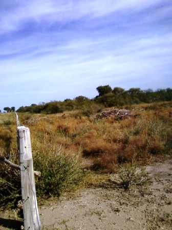 Ruta 146 Km 5 · La Capital — foto 33