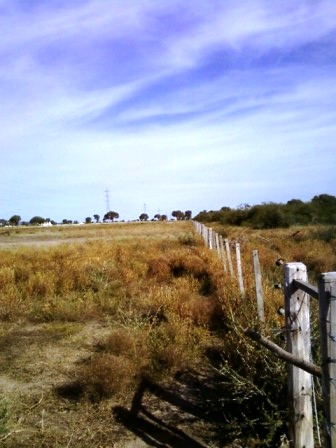 Ruta 146 Km 5 · La Capital — foto 35