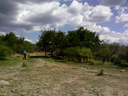 Ruta 146 Km 5 · La Capital — foto 44
