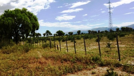 Ruta 146 Km 5 · La Capital — foto 45