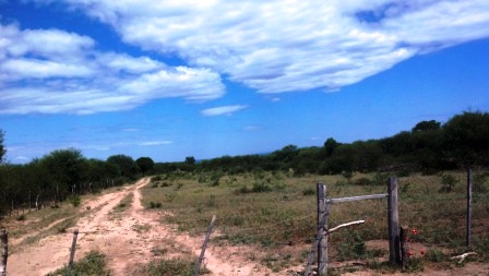 Ruta 146 Km 5 · La Capital — foto 47