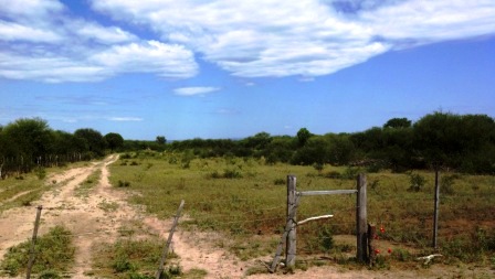 Ruta 146 Km 5 · La Capital — foto 48