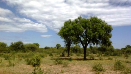 Ruta 146 Km 5 · La Capital — foto 52
