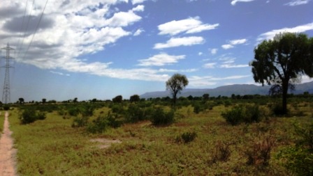 Ruta 146 Km 5 · La Capital — foto 53