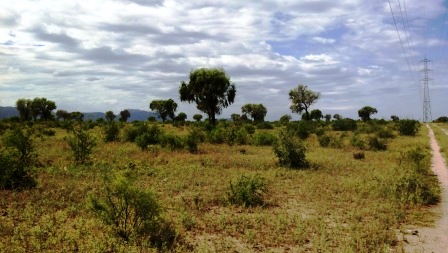 Ruta 146 Km 5 · La Capital — foto 54
