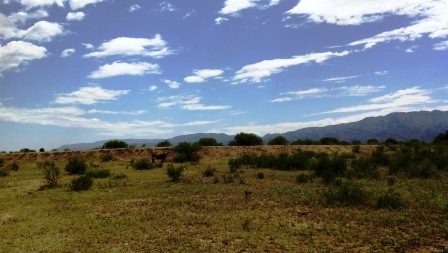 Ruta 146 Km 5 · La Capital — foto 55