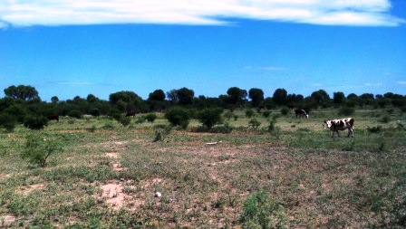 Ruta 146 Km 5 · La Capital — foto 56