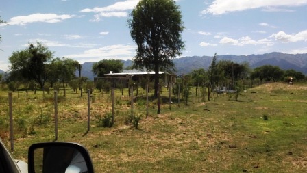 Ruta 146 Km 5 · La Capital — foto 61