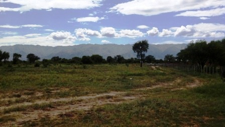 Ruta 146 Km 5 · La Capital — foto 65