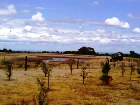 Ruta 146 Km 5 · La Capital — foto 9