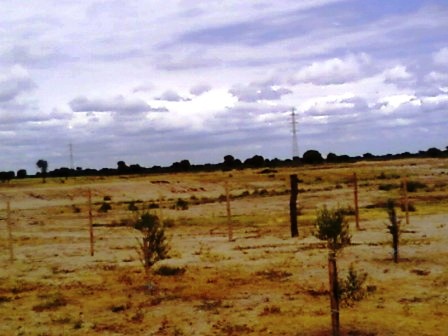Ruta 146 Km 5 · La Capital — foto 10