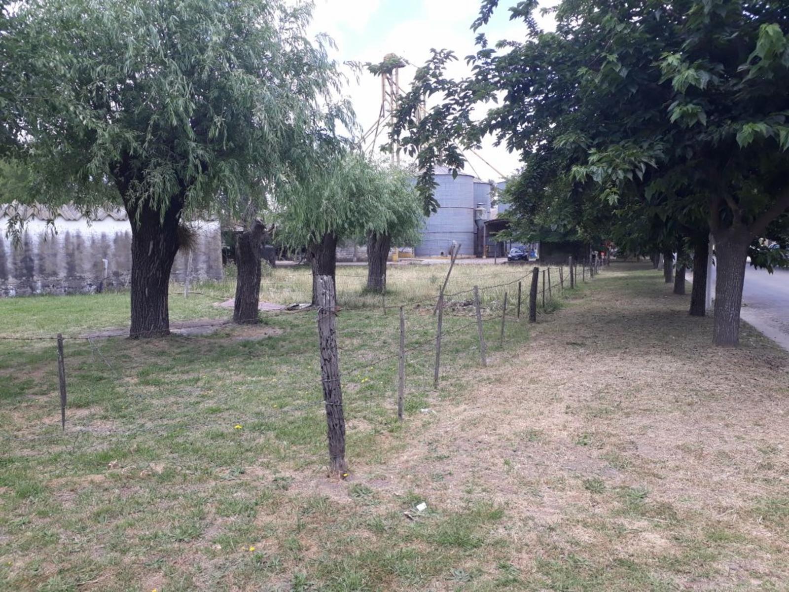 NECOCHEA Y RUTA NACIONAL 205 · Lobos — foto 3