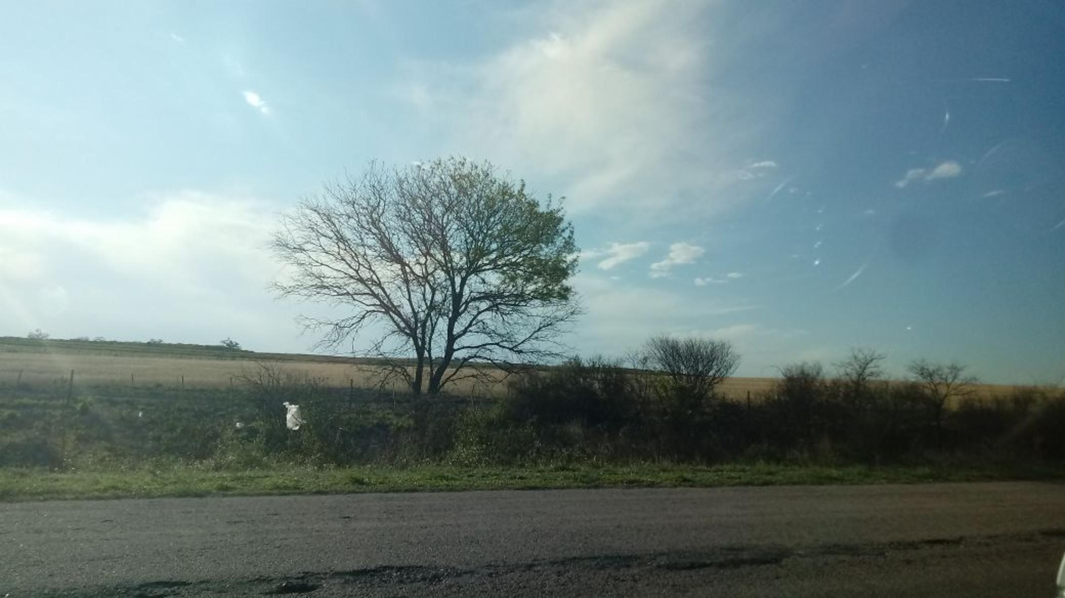 Campo Santiago del Estero 3200 has en Rio Hondo.