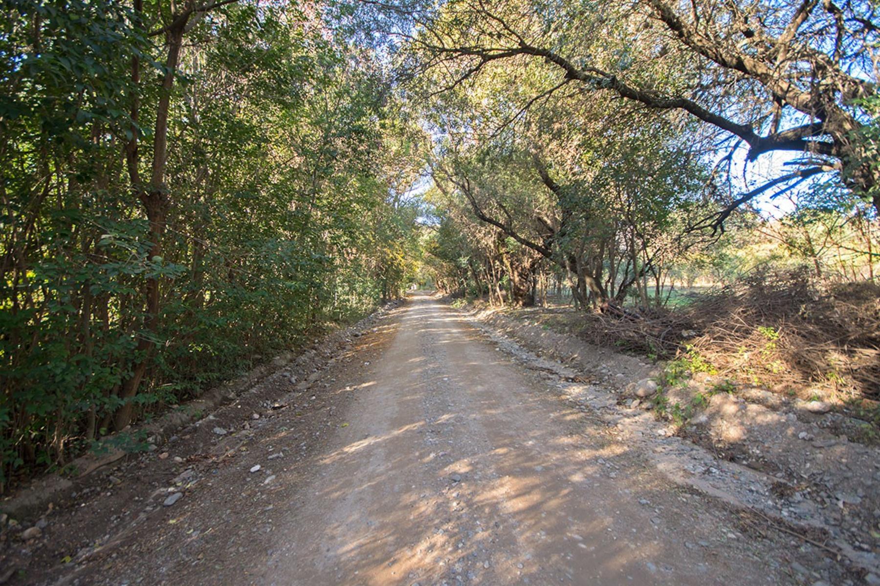 Orozco (ex ruta P1) entre Fermín Romero y P. Morán) sn · Junín — foto 4