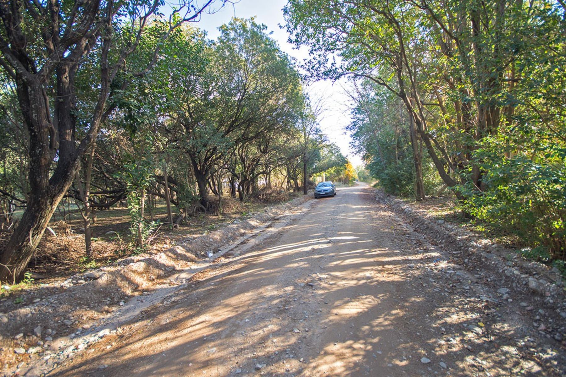 Orozco (ex ruta P1) entre Fermín Romero y P. Morán) sn · Junín — foto 5