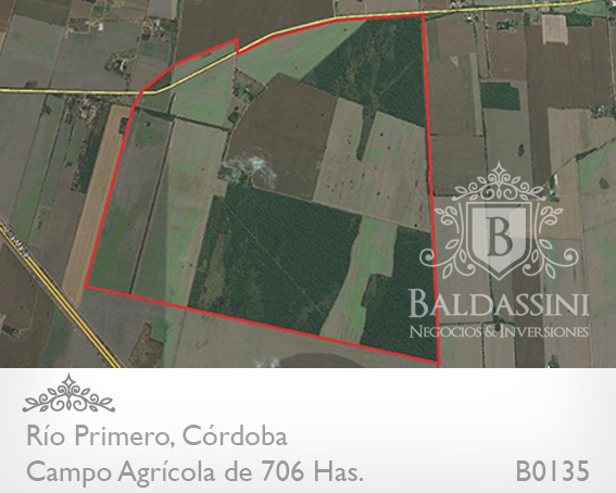 CAMPO DE 706 HAS. AGRÍCOLA CON CASCO DE ESTANCIA Y MUCHAS MEJORAS. CAMPO EN UN 75% DESMONTADO Y EN PRODUCCIÓN - MOLINO - ESTANQUE - ESCRITURADO - ALAMBRADO