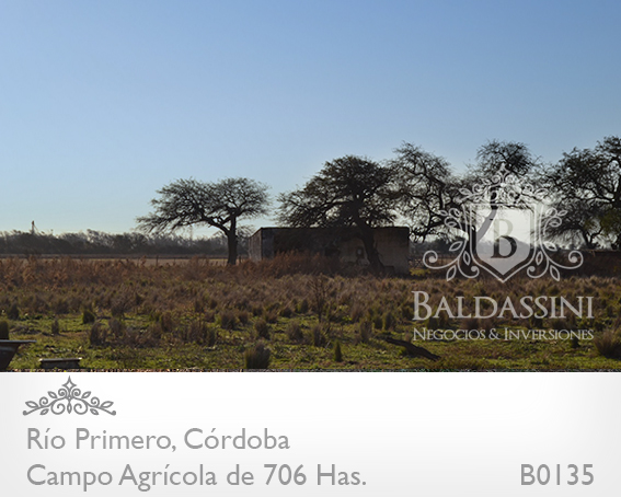 706 Has. Camino a Capilla y Autopista Rosario Córdoba · Río Primero — foto 7