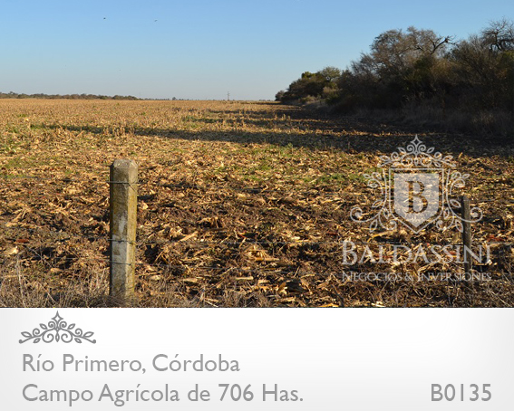 706 Has. Camino a Capilla y Autopista Rosario Córdoba · Río Primero — foto 10