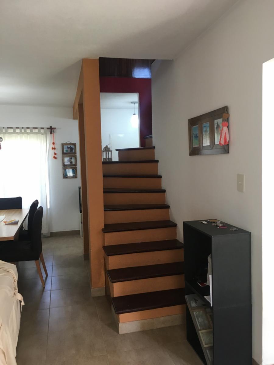 Dante · Hurlingham — foto 13