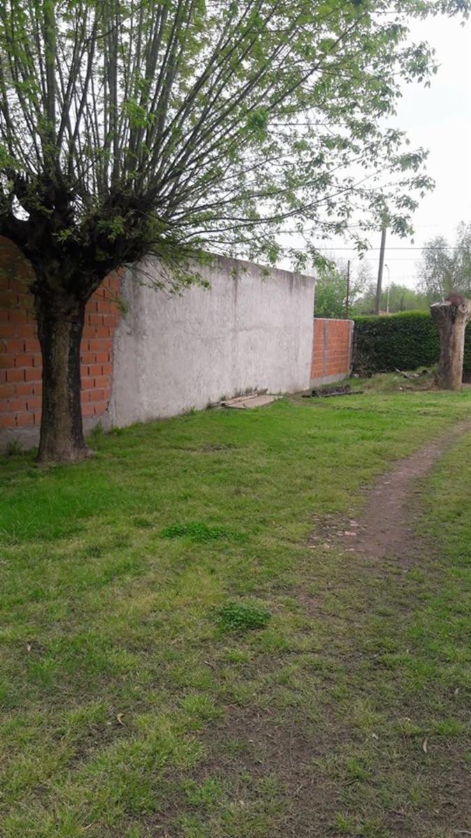 SAN MARTIN · Moreno — foto 11