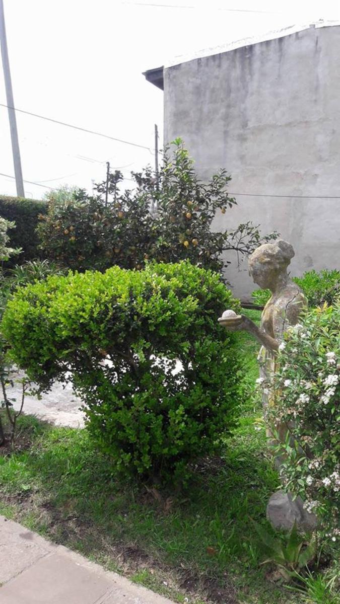 SAN MARTIN · Moreno — foto 6