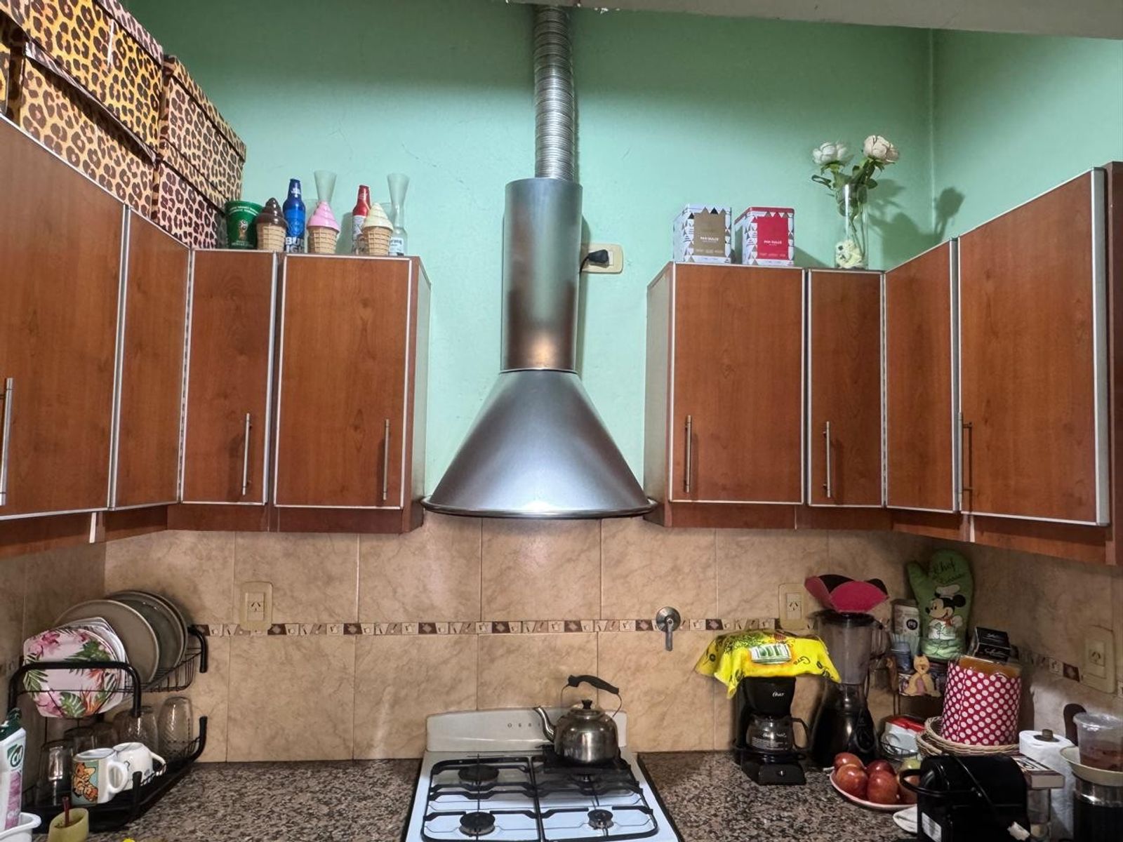 Paunero 181 · La Matanza — foto 3