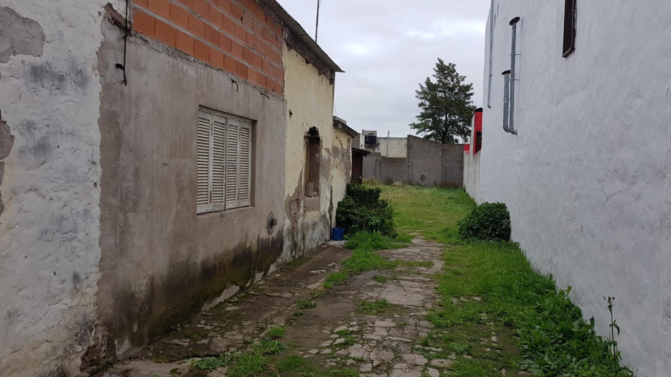 La Plata 500 · Tres Arroyos — foto 3