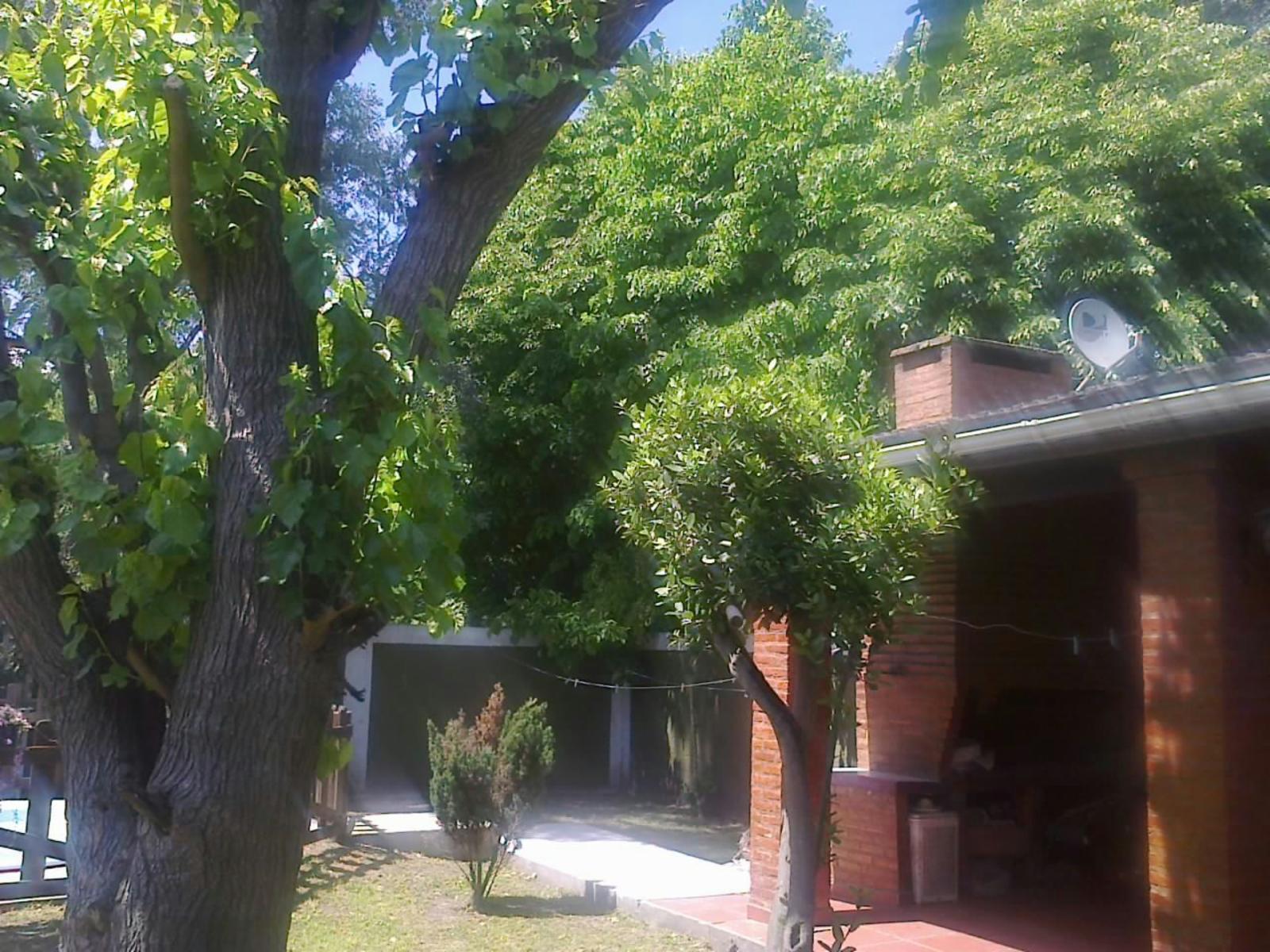 Quiroga · San Vicente — foto 3