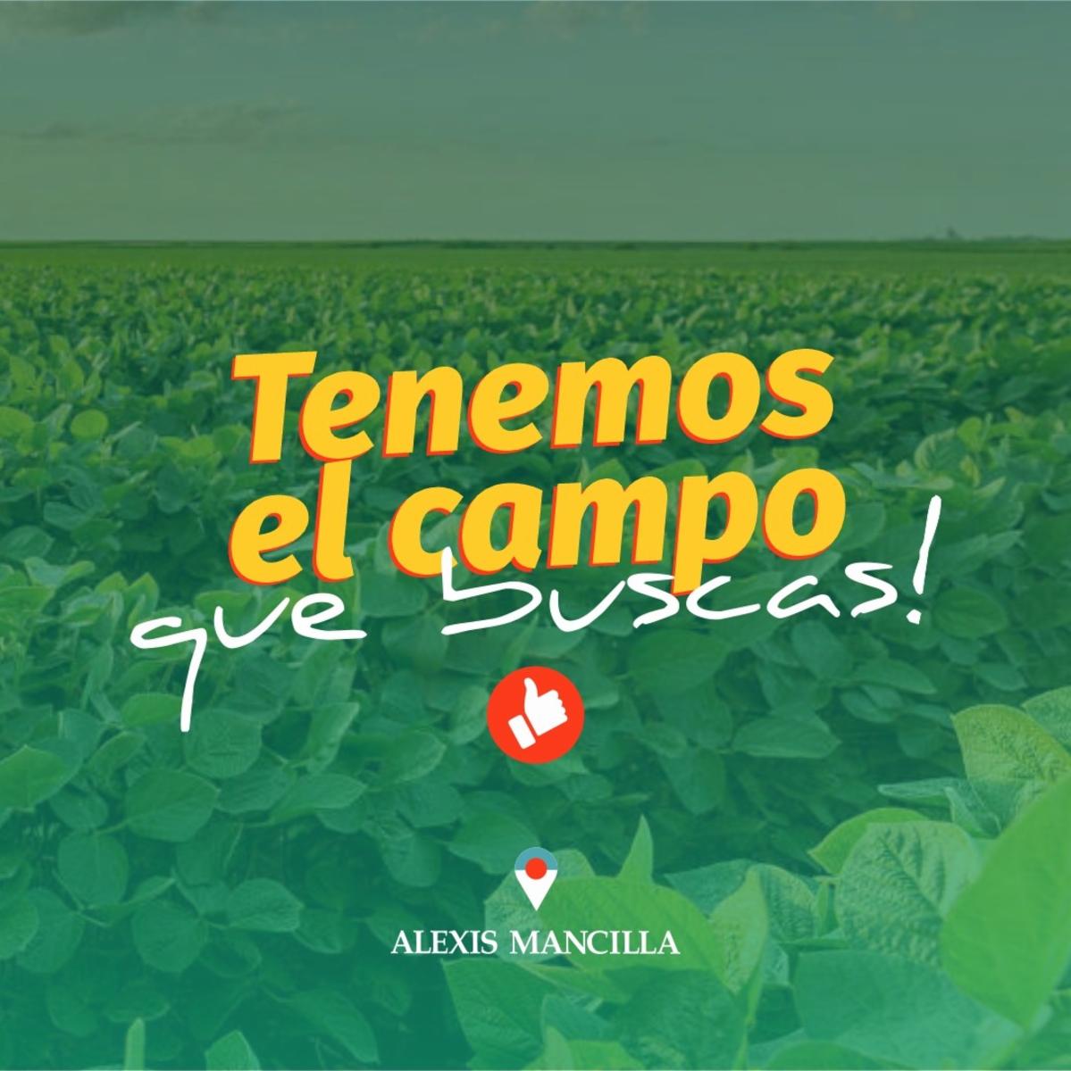 Campo Las Garzas ER 37 ha AGRÍCOLAS