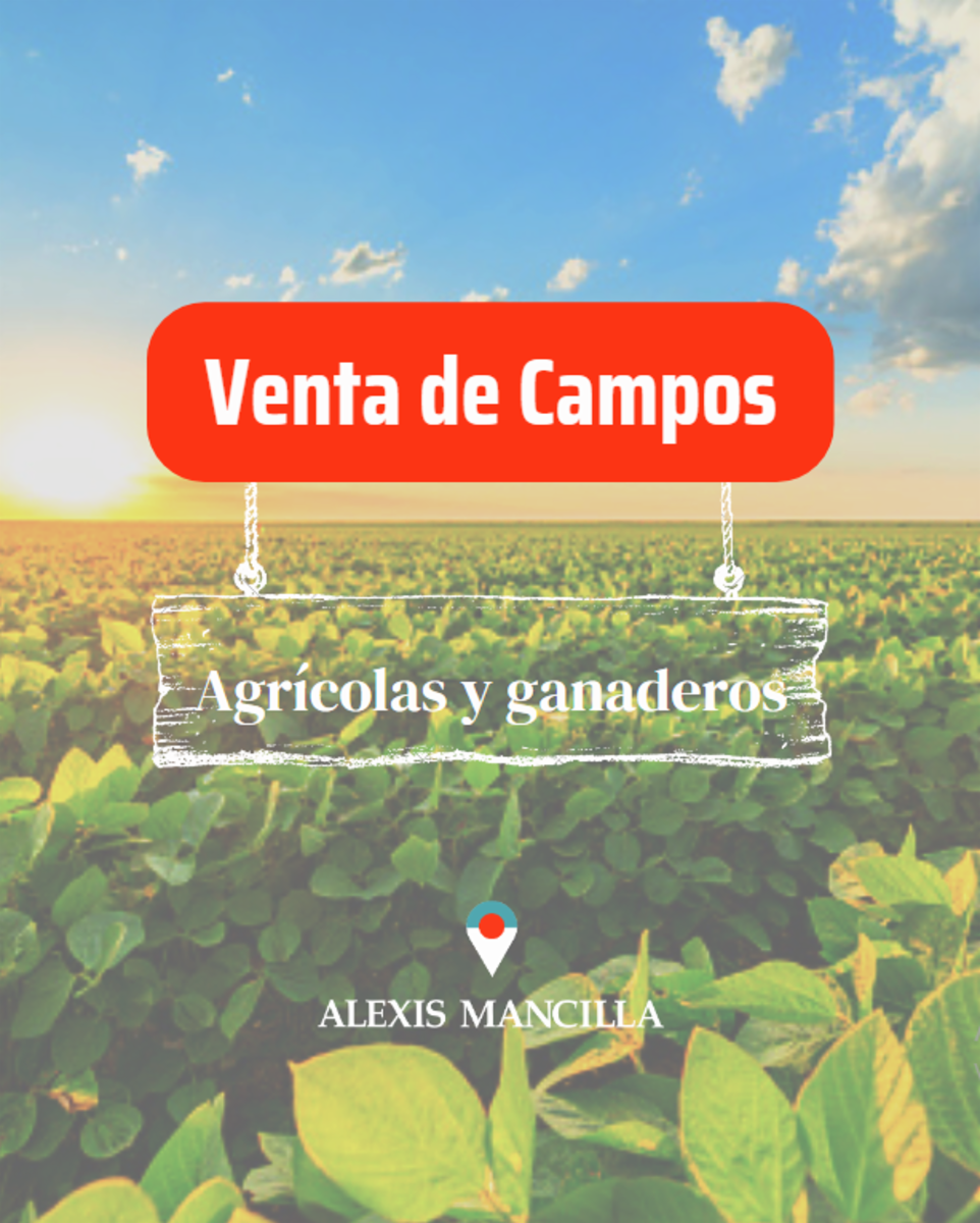 Las Garzas · Paraná — foto 3