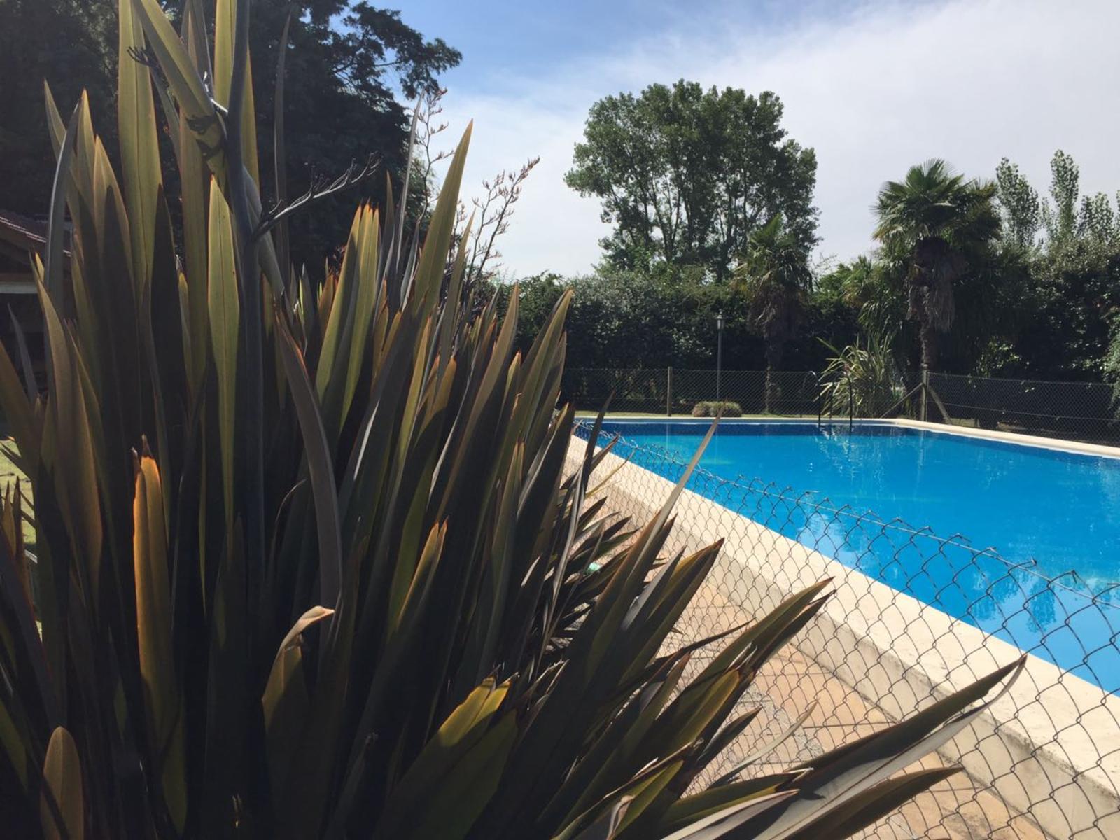 LAS ACACIAS · Lobos — foto 5