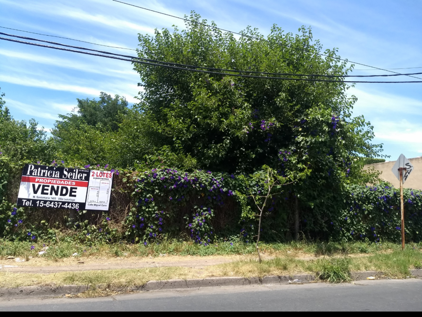 Miguel Cane · La Matanza — foto 11