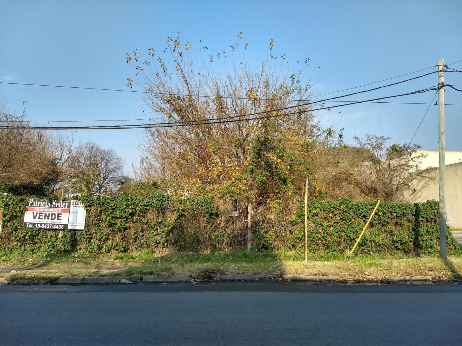 Miguel Cane · La Matanza — foto 14
