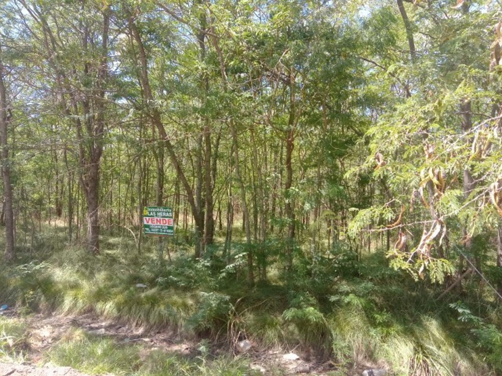 Ruta Provincial 40 · General Las Heras — foto 3