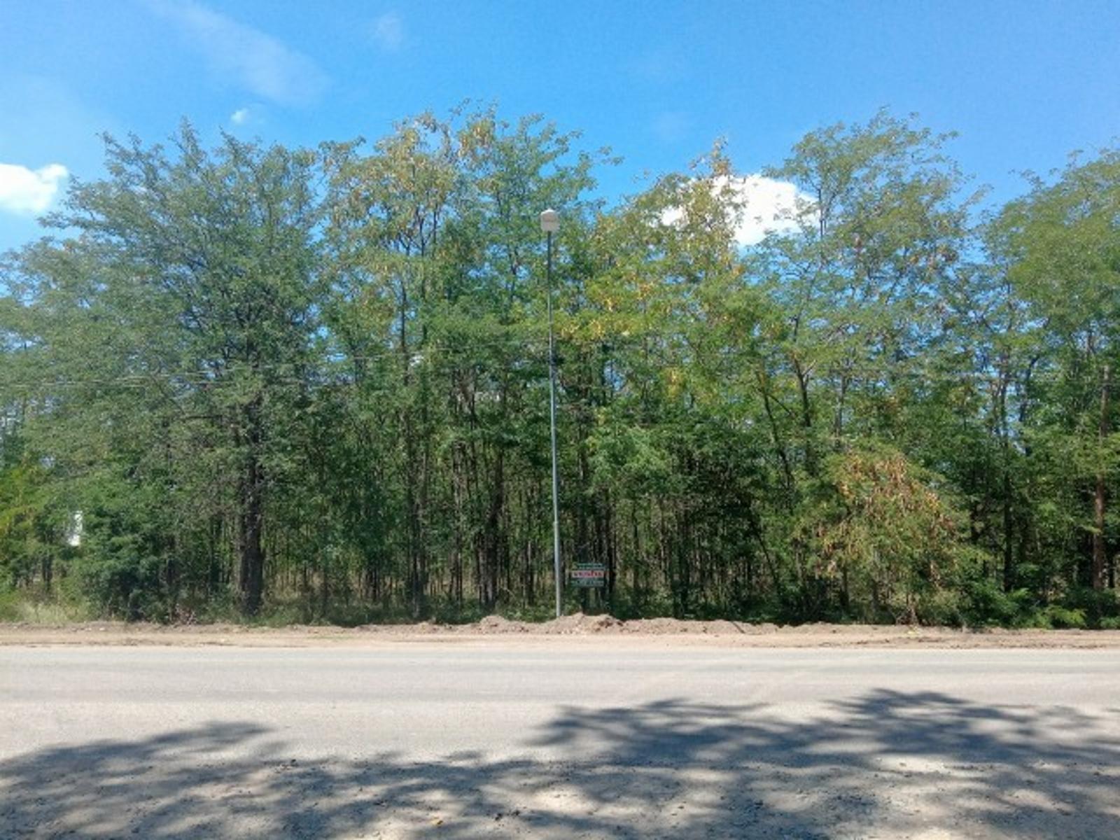 Ruta Provincial 40 · General Las Heras — foto 5