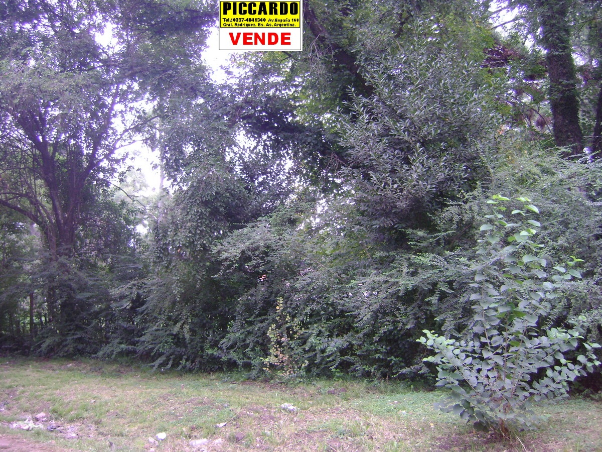 Dos Lotes Terrenos en venta B Villa Vengochea Gral Rodriguez Piccardo.