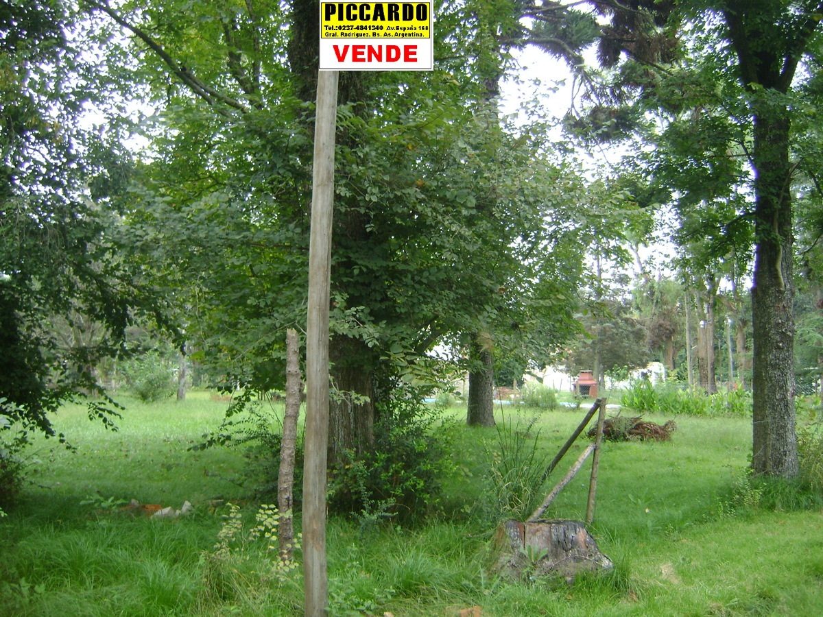 Villa vengochea · General Rodriguez — foto 5