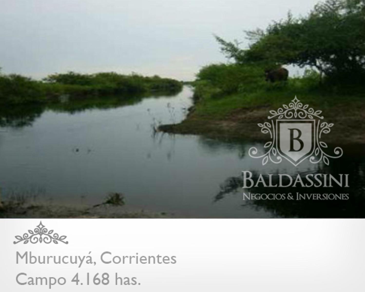 Campo Mixto de 4.168 has en Mburucuya, Corrientes, Argentina