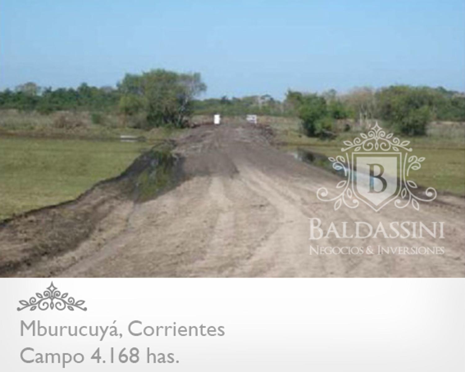 Campo de 4168 has en Mburucuya, Corrientes, Argentina · Mburucuyá — foto 3